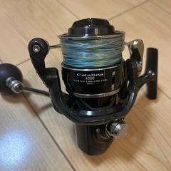 キャタリナ4000番超美品の画像