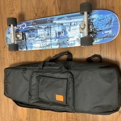 CARVER カーバー cx4 VENICE ベニス 中古スケートボード 36インチの画像