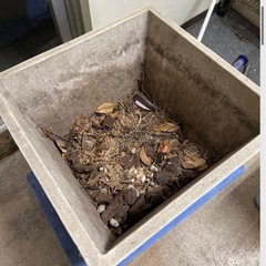 大型プランター（植木鉢）  の画像