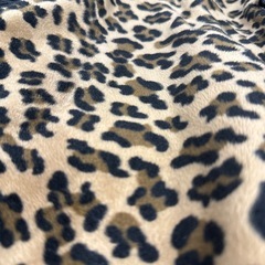 レオパード　ハーフパンツ　あったか素材　部屋着などにの画像