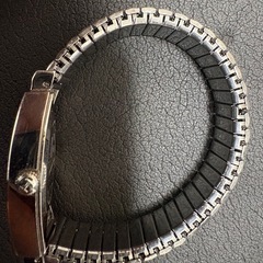 ハミルトン　　h244112の画像