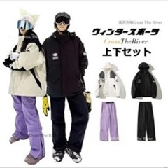 スキーウェア　大人　男女　LかL L 上下