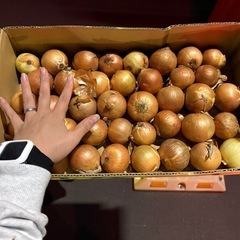 玉ねぎ  小玉 1箱の画像