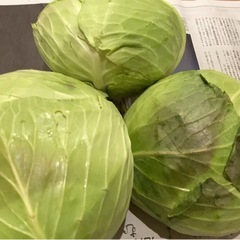 IKEA蓋付きガラス容器おまけキャベツ　   の画像