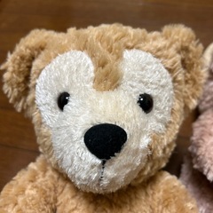 ダッフィー＆シェリーメイぬいぐるみの画像