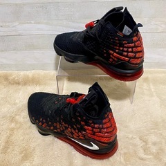 NIKE LEBRON XVII レブロン17 インフラレッド 25cmの画像