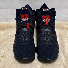 NIKE LEBRON XVII レブロン17 インフラレッド 25cmの画像