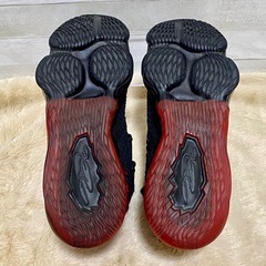 NIKE LEBRON XVII レブロン17 インフラレッド 25cmの画像