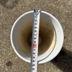 白い陶器の植木鉢の画像