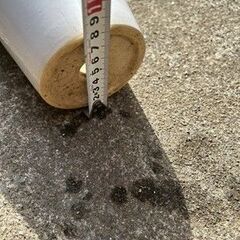 白い陶器の植木鉢の画像