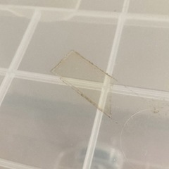 【お譲り先決定】キャスター付き衣装ケースの画像