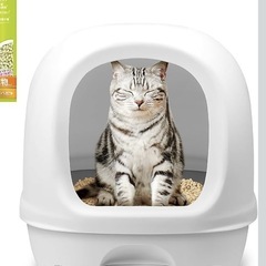 デオトイレの画像