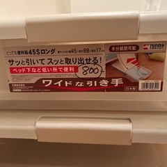 衣装ケース　ペット下収納の画像