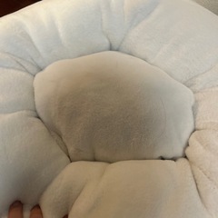 ペット　ベッドの画像