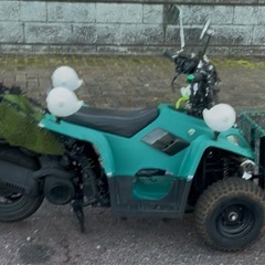 バギー➕リード、ミニカー
の画像