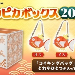 【新品未開封】ポケセン限定★当選品★ピカピカボックス2026の画像