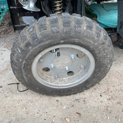 バギー➕リード、ミニカー
の画像