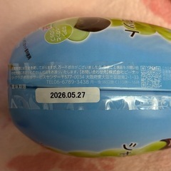 シャインマスカットボンボンの画像