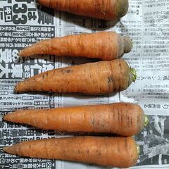 【第５弾】野菜いかがでしょうか？の画像