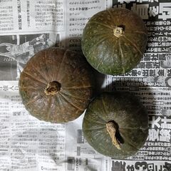 【第５弾】野菜いかがでしょうか？の画像