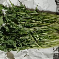 【第５弾】野菜いかがでしょうか？の画像