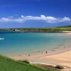 出張 太陽光パネル 日給13000円 寮🏠付き＆ご飯🍚付きの画像