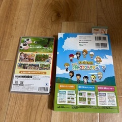 牧場物語 レッツ風のグランドバザールの画像