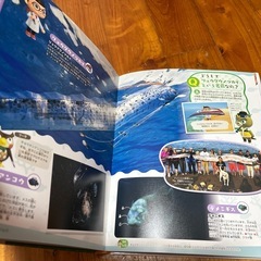 あつまれ　どうぶつの森　島の生き物図鑑の画像