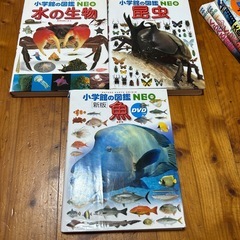 図鑑　まとめ売りの画像