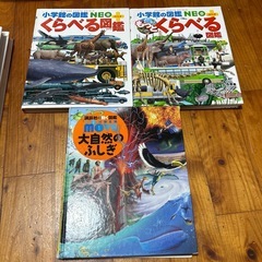 図鑑　まとめ売りの画像