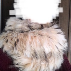 ファーコートの画像