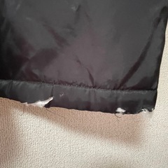 ボア裏地付きコーチジャケット
の画像