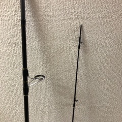 釣り竿‪🎣‬ライトゲームにショアジギング！の画像