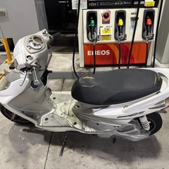 シグナス2型の画像