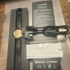 ガーミン　LILY CLASSIC EDITION の画像