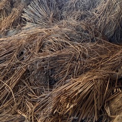 藁　わらの画像