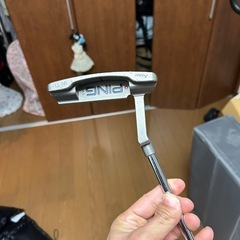 ping パターの画像