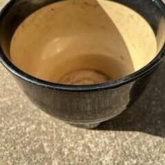 黒色の植木鉢の画像