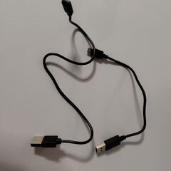 接続端子 MicroB 2本の画像