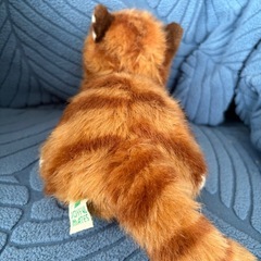 茶色いねこ　ぬいぐるみの画像