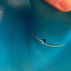 Bumbo ベビーチェア テーブル付きの画像