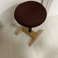 バランスラボ　バランスシナジー　カバー付きの画像