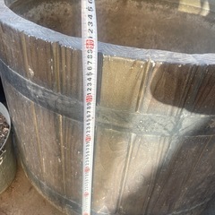 木、植物、花、野菜、鉢、鉢壺
入れ物の画像