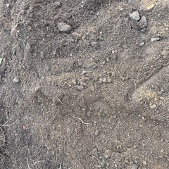 東大阪市発　無料で庭土差し上げますの画像