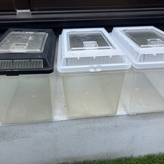 水槽　プラケの画像