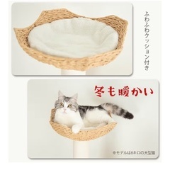 木製キャットタワー　美品の画像