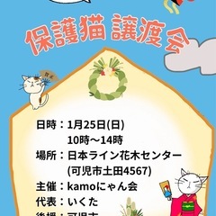 保護猫譲渡会in花木センター 20260125
