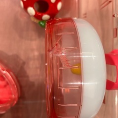 ルーミィ　ハムスターの画像