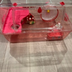 ルーミィ　ハムスターの画像