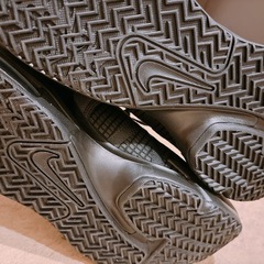 NIKE REBRON の画像